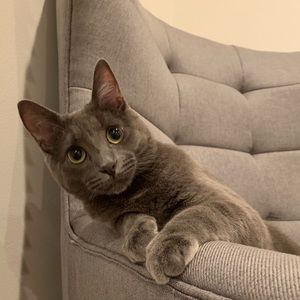 Meet your Posher, Danielle